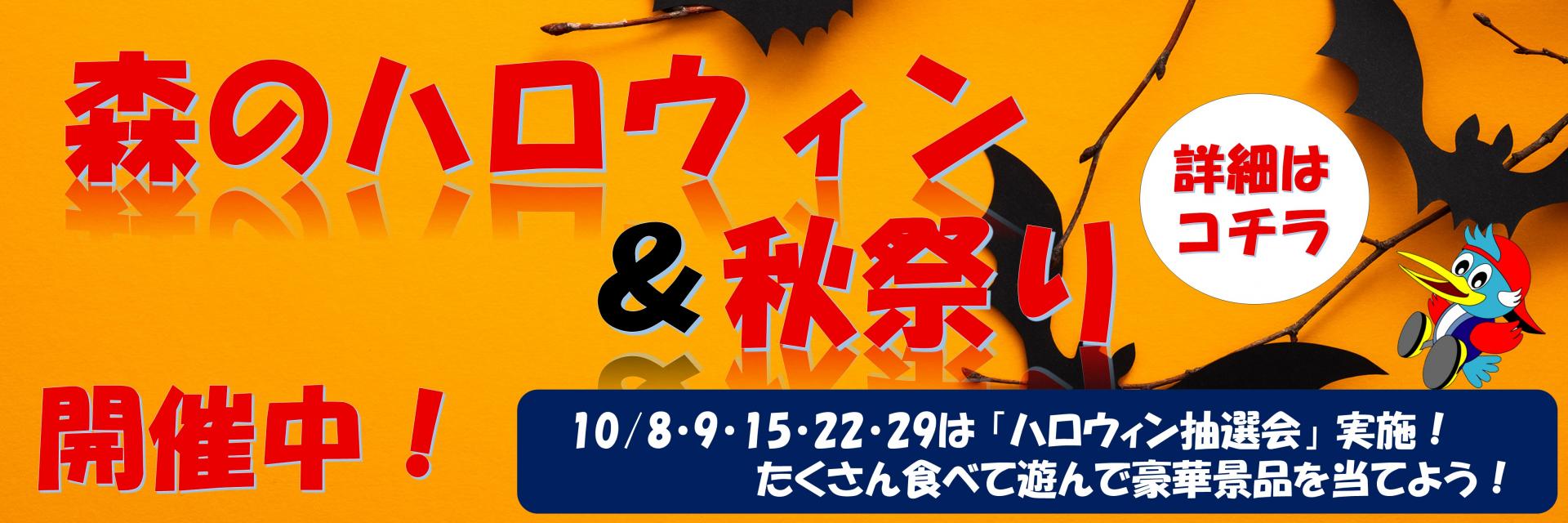 千葉県南房総で子供と大人が一緒に遊べる大自然の国、ロマンの森共和国